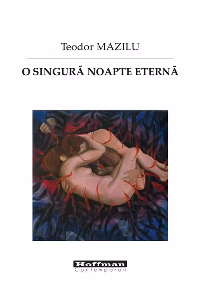 O singura noapte eterna
