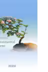 Environmental Hygiene