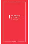 Momente si schite