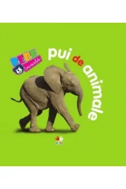 Bebe invata. Pui de animale