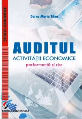 Auditul activitatii economice. Performanta si risc