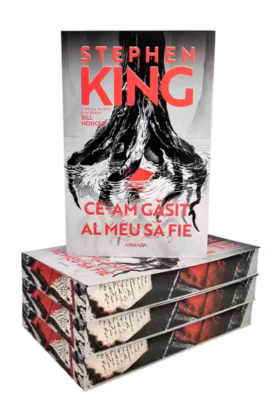 Ce-am gasit al meu sa fie (Vol.2 Seria BILL HODGES)