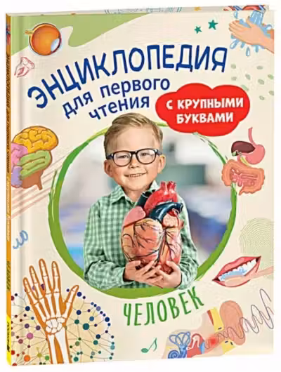 Человек. Энциклопедия для первого чтения с крупными буквами