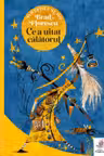 Ce a uitat calatorul