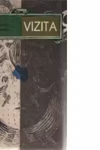 Vizita