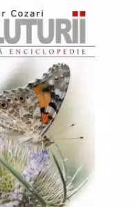 Fluturii. Mica enciclopedie