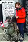Aventuri in tara trolilor. Jurnal de calatorie in Norvegia
