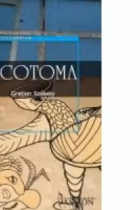 Scotoma