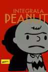 Integrala peanuts - Volumul 1