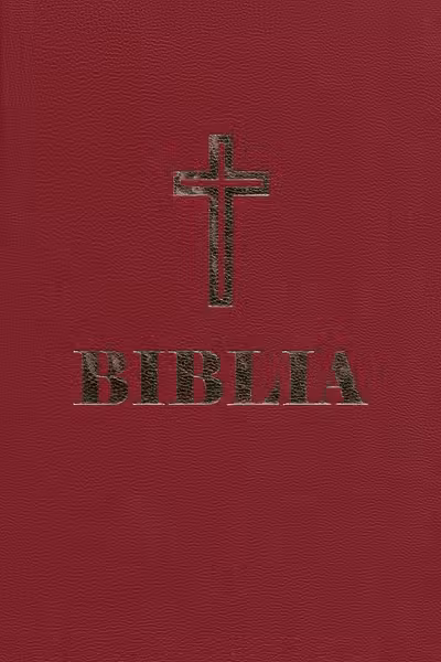 Biblia sau Sfânta Scriptură simplă grena Ed.2025