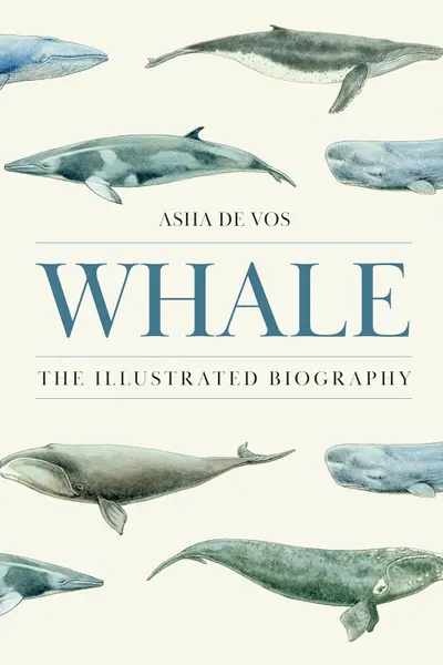 Whale