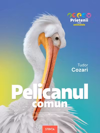 Pelicanul comun. Enciclopedie pentru copii