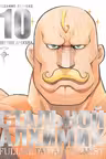 Стальной Алхимик. Кн. 10