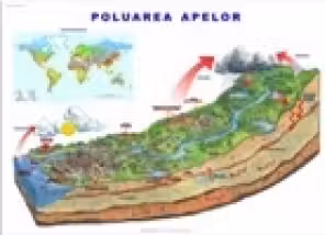 Poluarea apelor. Sursele si efectele poluarii (1000 x 700 mm)
