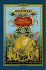 JULES VERNE. ROBUR CUCERITORUL