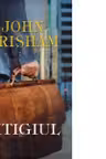 Litigiul
