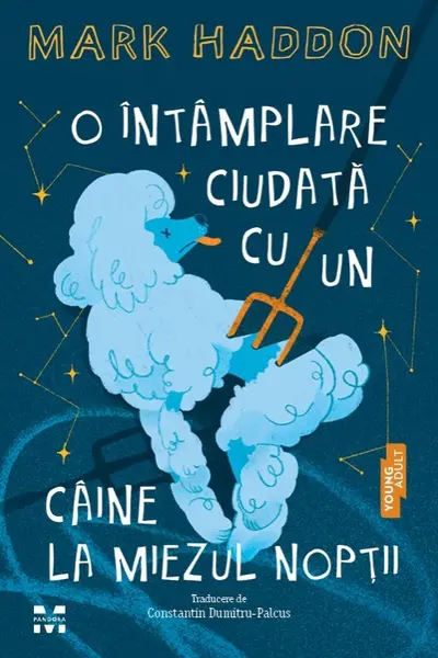 O intamplare ciudata cu un caine la miezul noptii