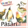 Primele mele cuvinte - Pasari