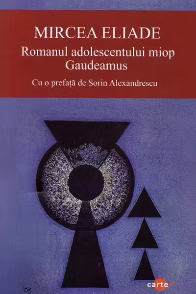 Romanul adolescentului miop
