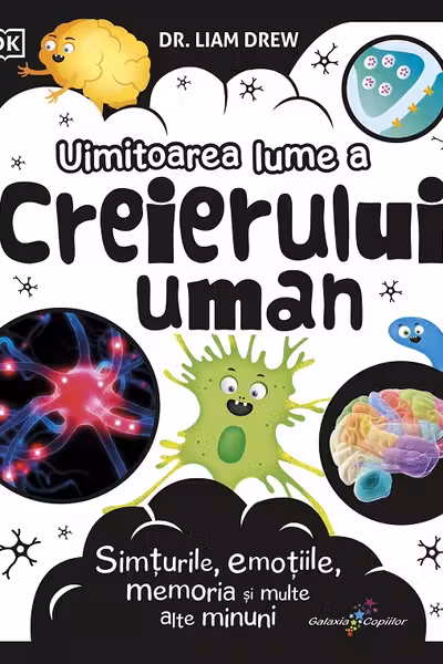 Uimitoarea lume a creierului uman