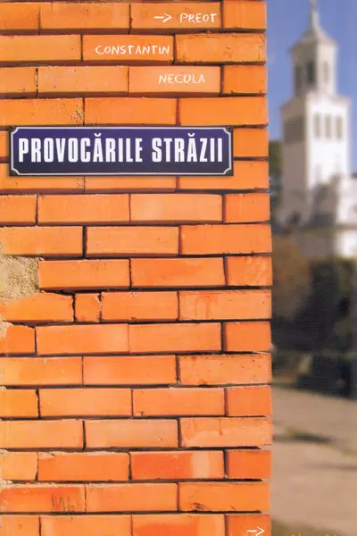 Provocările străzii