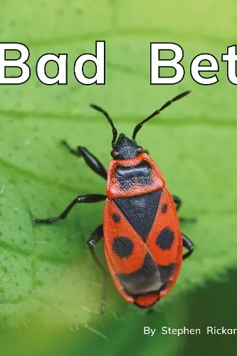 Bad Bet