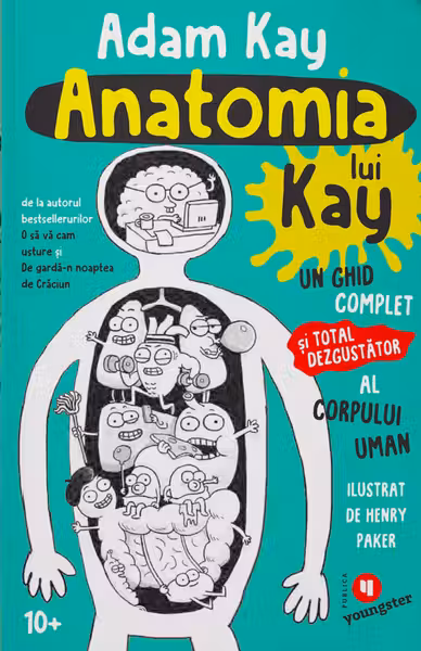 Anatomia lui Kay
