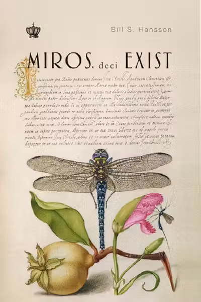 Miros deci exist