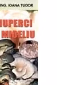 Ciuperci Si Miceliu
