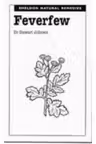 Feverfew