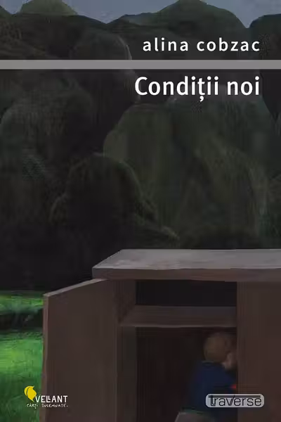 Conditii noi