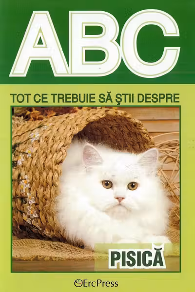 ABC Tot ce trebuie să știi despre pisică