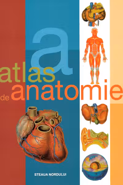 Atlas de anatomie