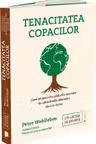 Tenacitatea copacilor