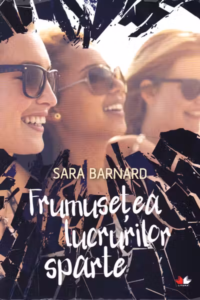 Frumusetea lucrurilor sparte