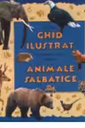 Ghid ilustrat pentru cei mici despre animale salbatice (format A4)