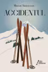 Accidentul