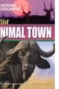 Wild Animal Town. Intermediate B1 (Contine DVD)