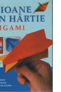 Origami-Avioane din hartie