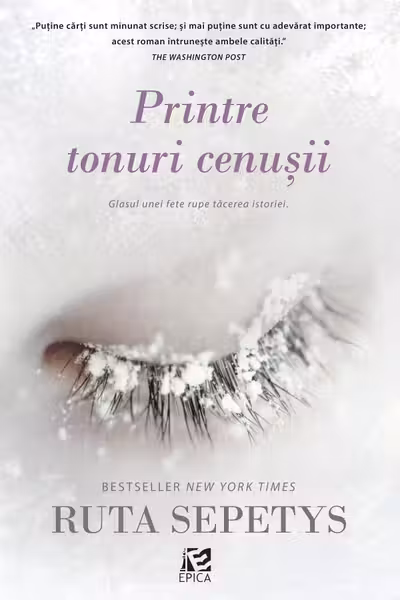Printre tonuri cenusii
