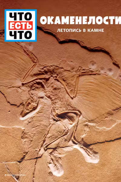 ОКАМЕНЕЛОСТИ. Летопись в камне