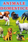 Carton animale domestice