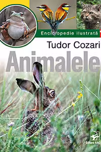 Animalele - Volumul 1