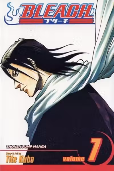 Bleach Vol. 7