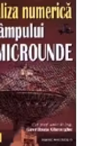 Analiza numerica a campului de microunde
