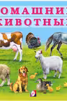 Фламинго. Домашние животные