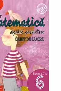 Matematica. Algebra, geometrie. Caiet de lucru. Clasa a VI-a. Initiere. Partea a II-a
