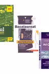 Pachet Bacalaureat 2026. Eseul. Varianta rapida de pregatire, Matematica M-stiintele-naturii si M-tehnologic si Informatica clasele 11-12, intensiv Pascal C/C++ - Liliana Paicu, Mihai Monea, Susana Galatean