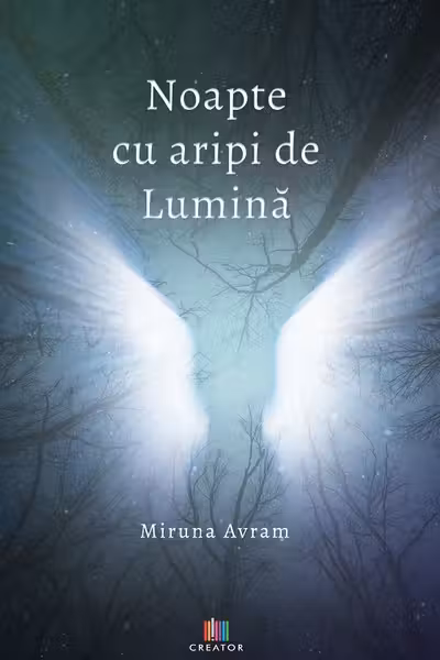 Noapte cu aripi de lumină