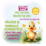 Pasari si animale domestice. Poultry and domestic animals